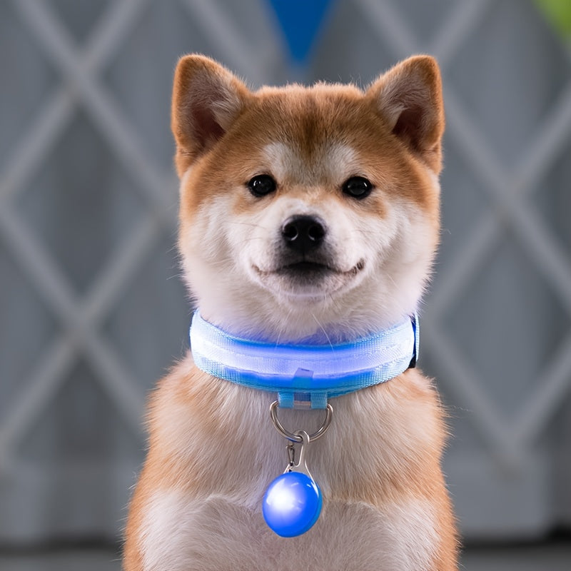 PawMode: Collar con luz LED y colgante en Azul Marino.