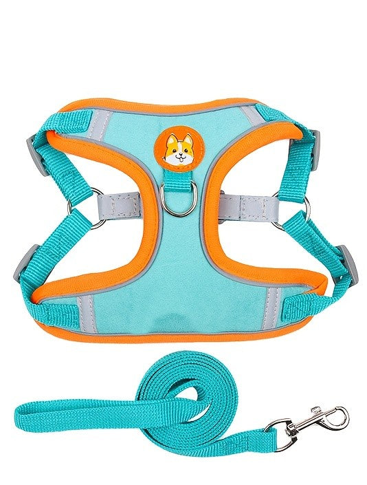 PawMode : Arnés de diseño color Azul Esmeralda.