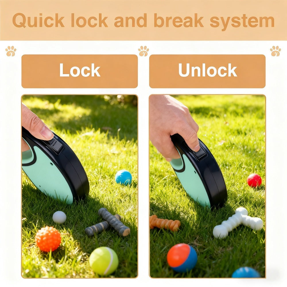 PawMode: Correa de diseño personalizable con el nombre de tu mascota.