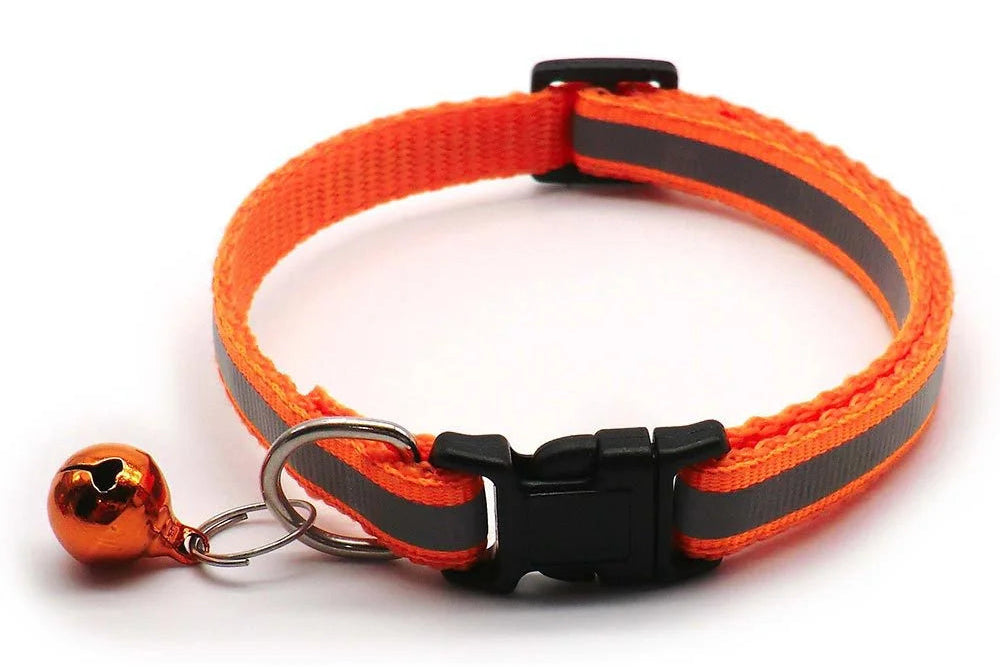 CatCorner: Juego de dos collares de colores con cascabel.