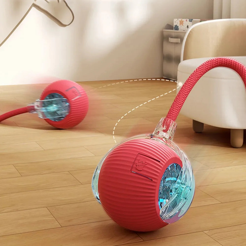 CatCorner: Juguete interactivo, inteligente y automático para el instinto cazador de tu gato.