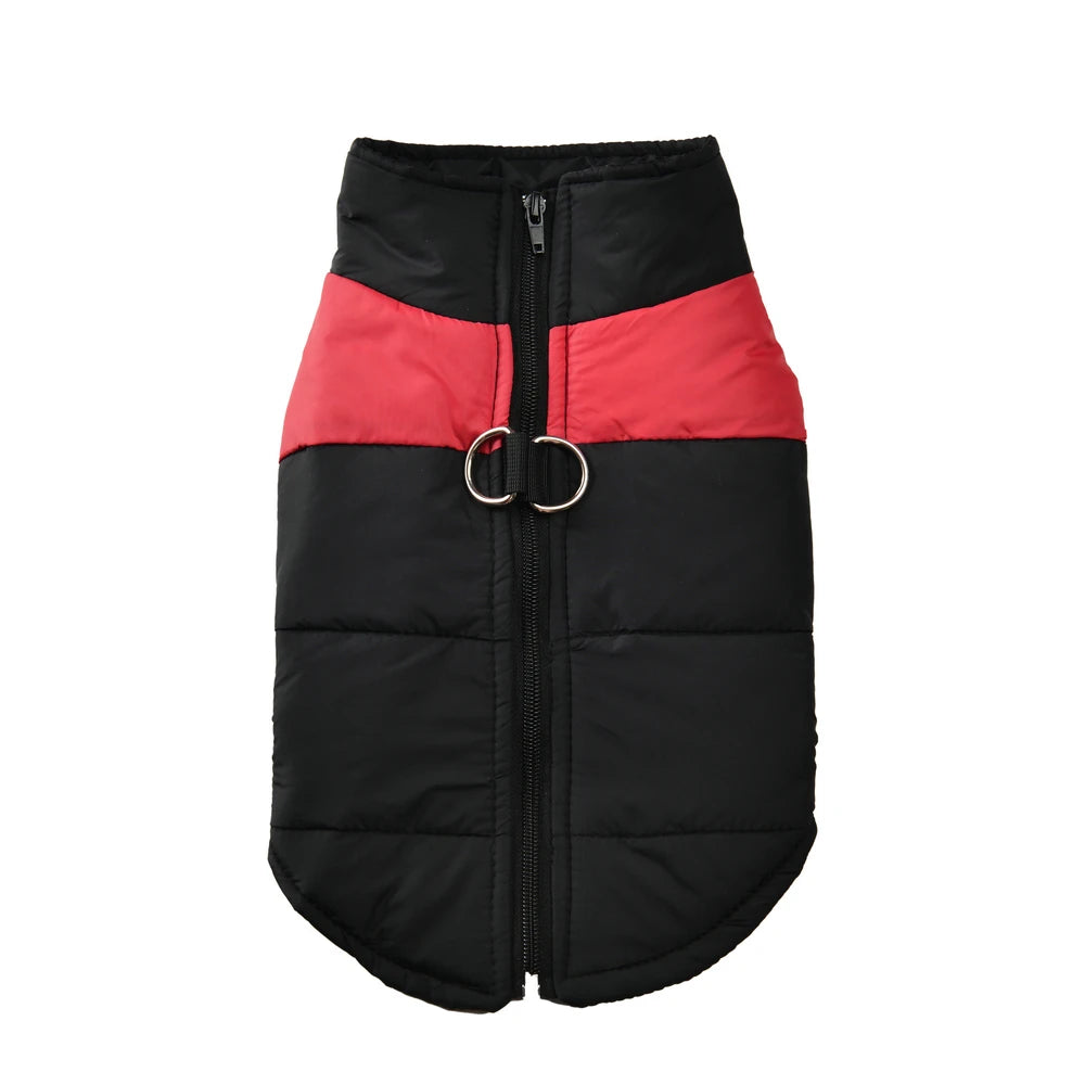 PawMode:  Abrigo Impermeable para Perros