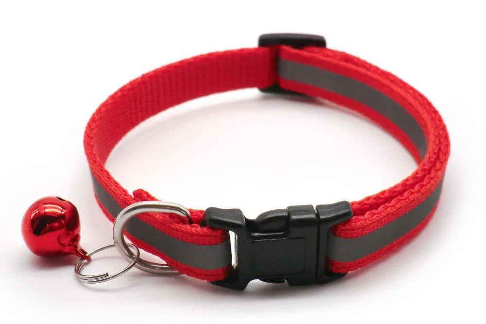 CatCorner: Juego de dos collares de colores con cascabel.