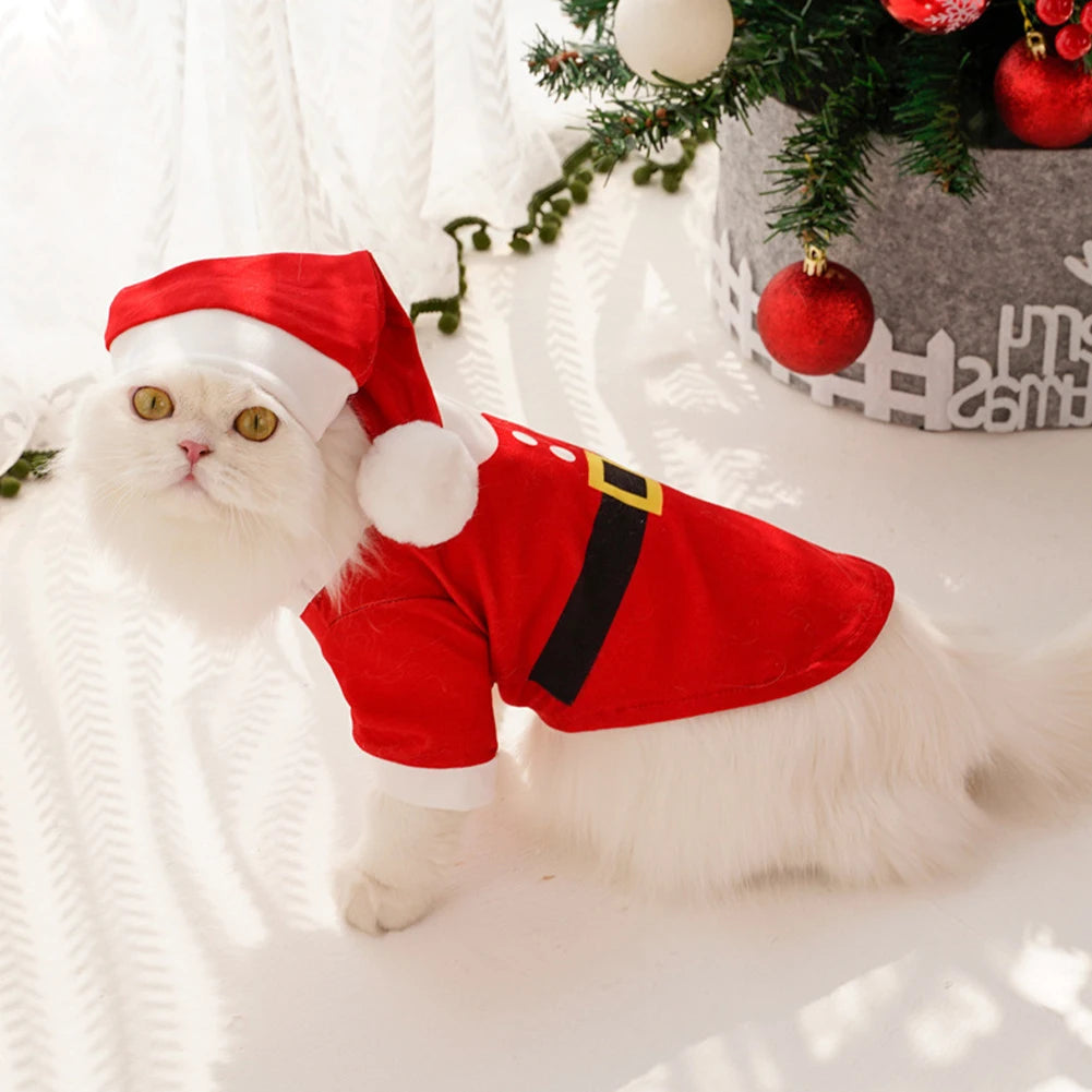 PawMode & CatCorner: Disfraz Navideño para Perros  de Papá Noel..