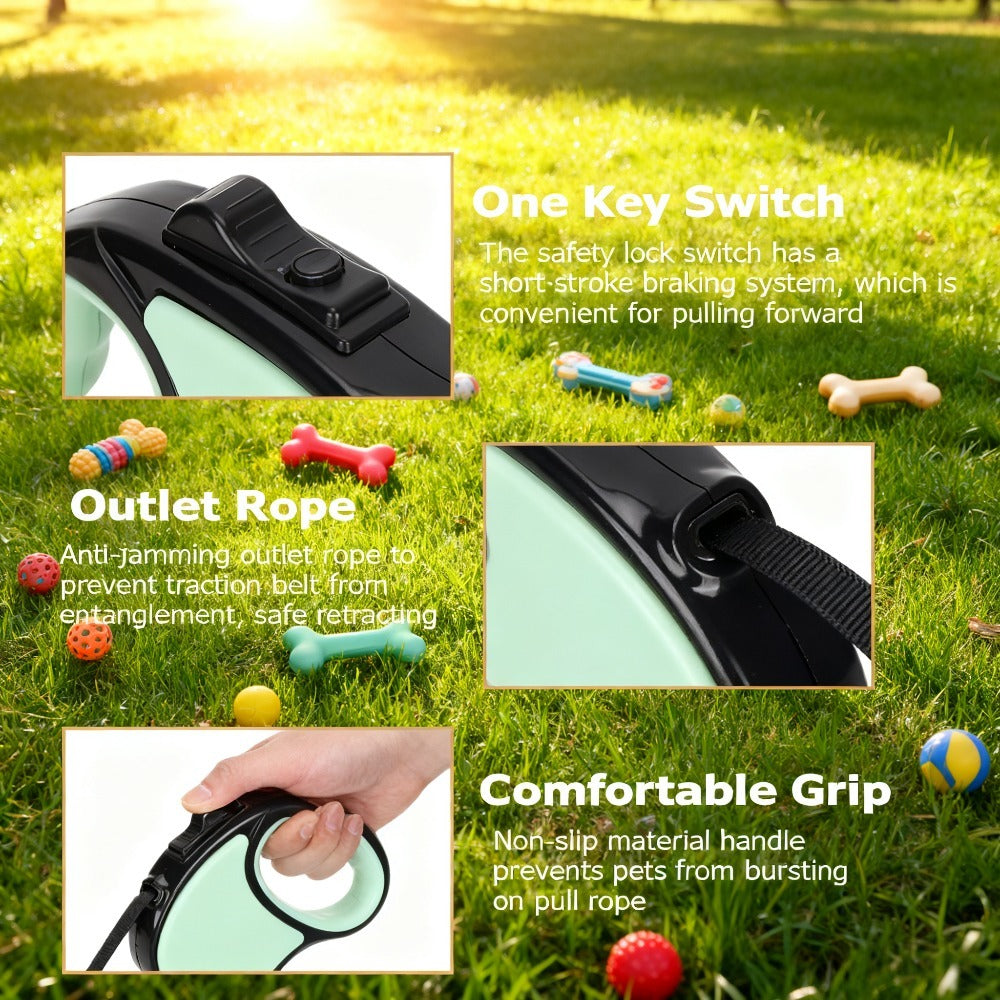 PawMode: Correa de diseño personalizable con el nombre de tu mascota.