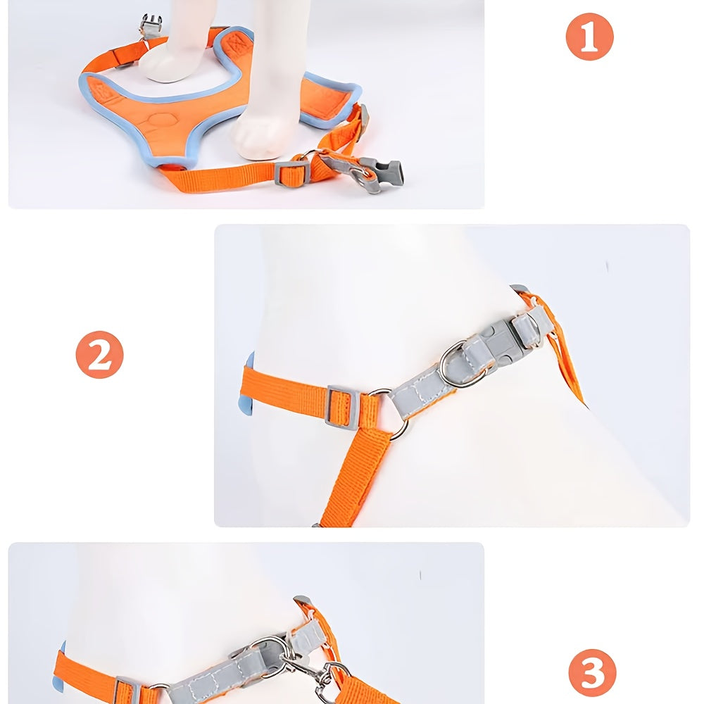 PawMode : Arnés de diseño color Lila Púrpura.